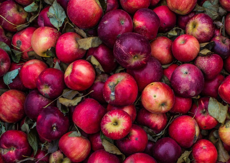Sadownicza Polska A i Polska B? Są miejsca, gdzie jabłek brakuje...