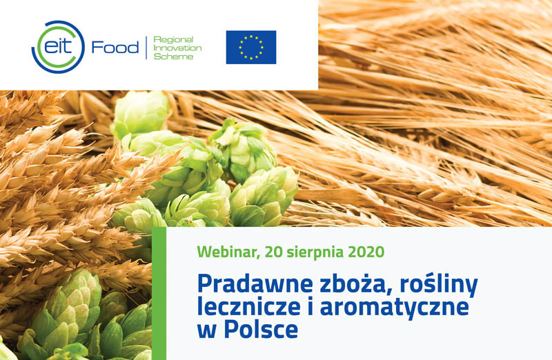 Bioróżnorodność w praktyce: Czy warto uprawiać rośliny niszowe?
