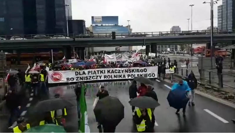 Piątka dla zwierząt odłożona do ,,zamrażarki'', ale...
