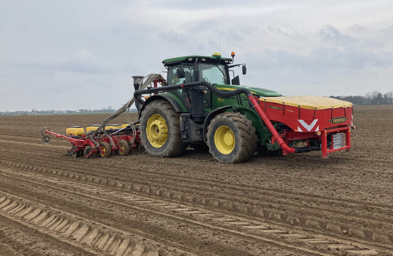 Podsumowanie i omówienie siewów kukurydzy