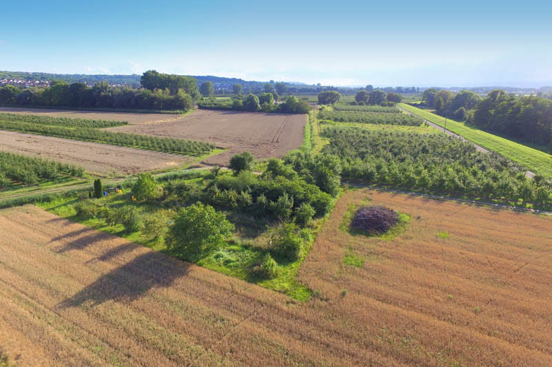 Kraje UE zatwierdziły zmiany we Wspólnej Polityce Rolnej
