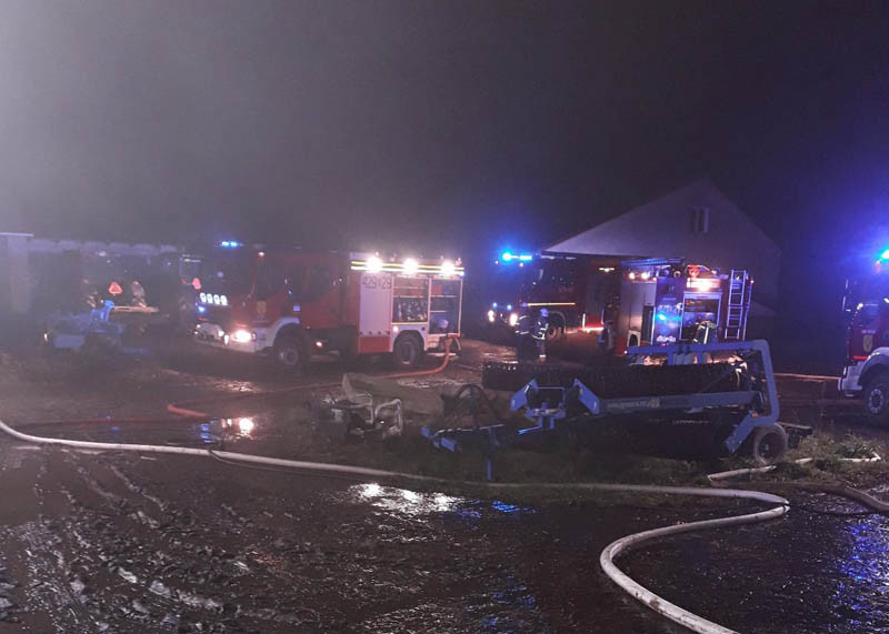 40 krów spłonęło w pożarze obory