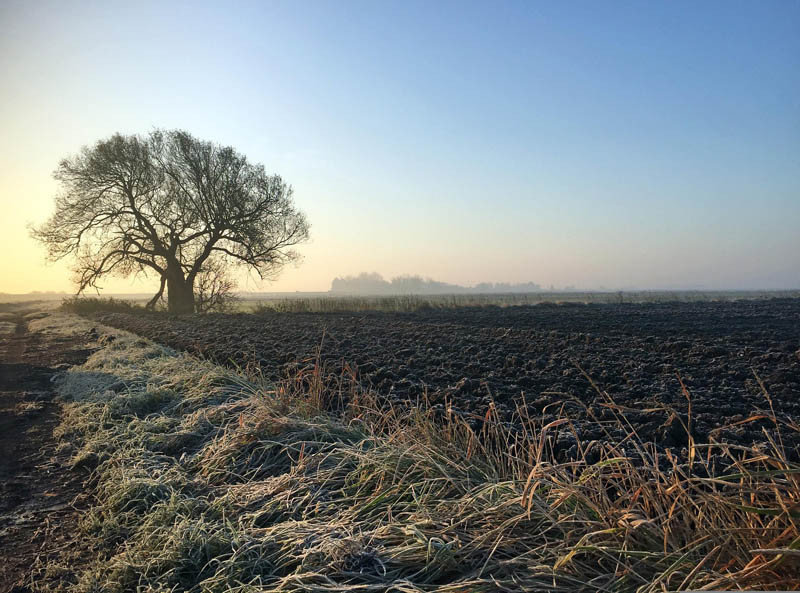 Które ekoschematy można łączyć - TABELA