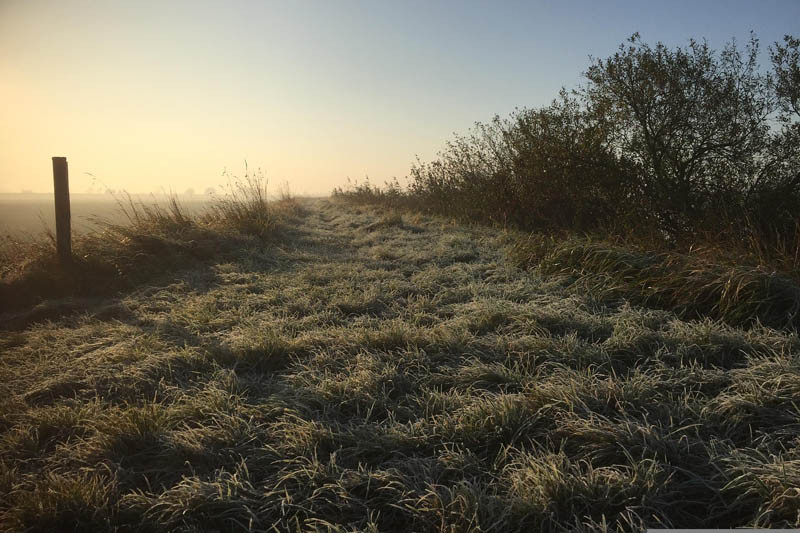 Ministerstwo: GAEC2 obejmuje mniej terenów niż wcześniej zakładano