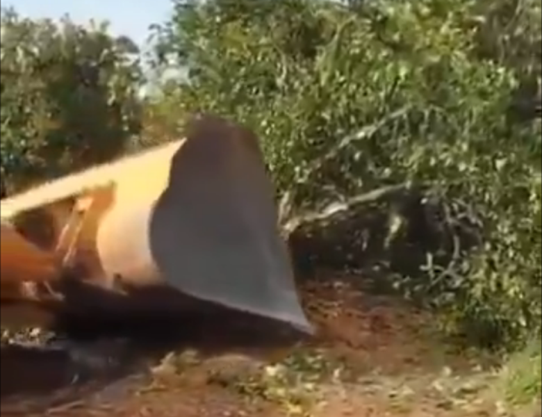 Hiszpania: niszczą gaje pomarańczowe i oliwne pod... panele słoneczne