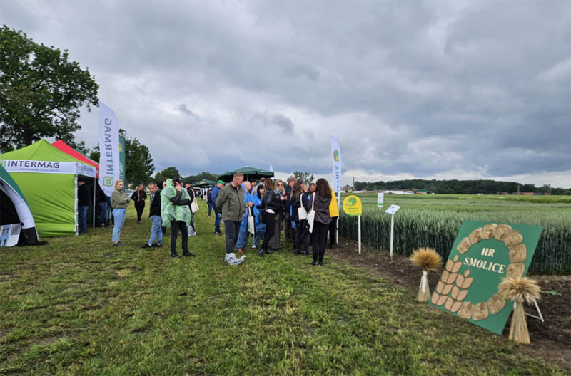 HR Smolice: Festiwal odmian w Dłoni