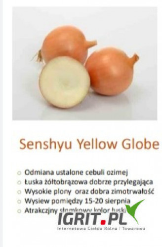 Nasiona cebuli ozimej: Senshyu Yellow Globe/op.250 000 szt./ i SHAKESPEARE 200 /op.250 000 szt./. firmy SAKATA. Dostawa gratis.Płatność...