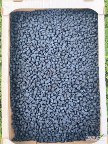 Sprzedam Jagodę Kamczacką odmiany kanadyjskie i rosyjskie, słodkie. Zbiór mechaniczny. Możliwość przechowania w chłodni do czasu...