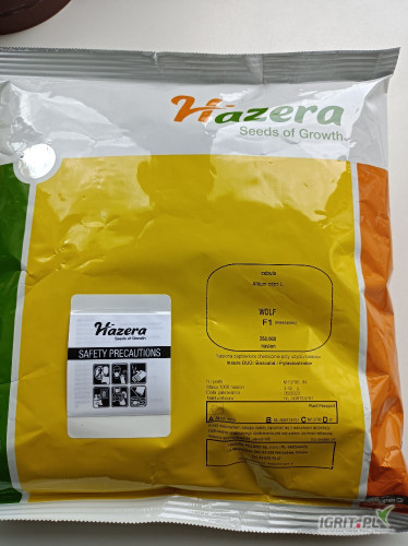 GEPWEG oferuje nasiona cebuli ozimej WOLF F1(j.250 000n) firmy HAZERA. Dostawa gratis.Płatność przy odbiorze.
