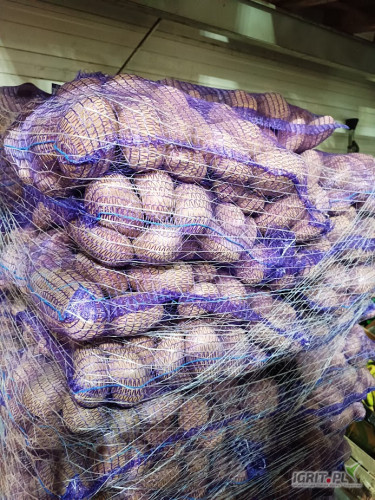 Ziemniak Bellarosa, kaliber 50+, worek 15 kg, Ilości TIR 
