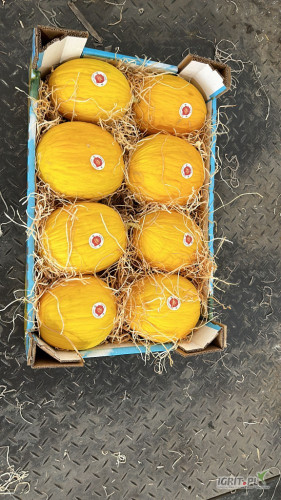 Melon żółty z Sycylii 
