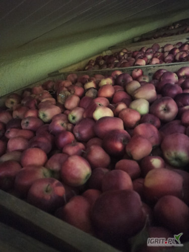 Sprzedam Gloster 50skrz za wagę Chłodnia +fresh 