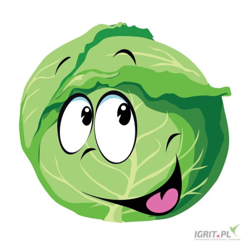 Kupię tirowe ilości kapusty białej 1-4kg. Jakość marketowa. Pakowana w karton box. Płatność przy załadunku. Z fito. Zapraszam do...