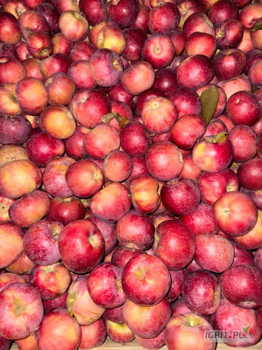 Sprzedam Alwe za wagę w skrzyni.