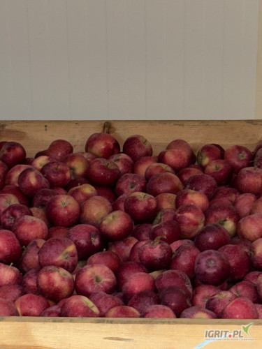 Sprzedam alwę za wagę w skrzyni 