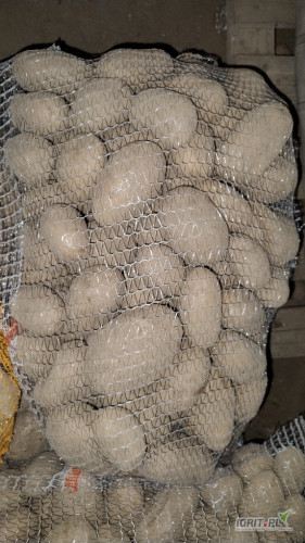 Sprzedam ziemniaki jadalne zółte -tajfun i białe -catania. Możliwa faktura. 