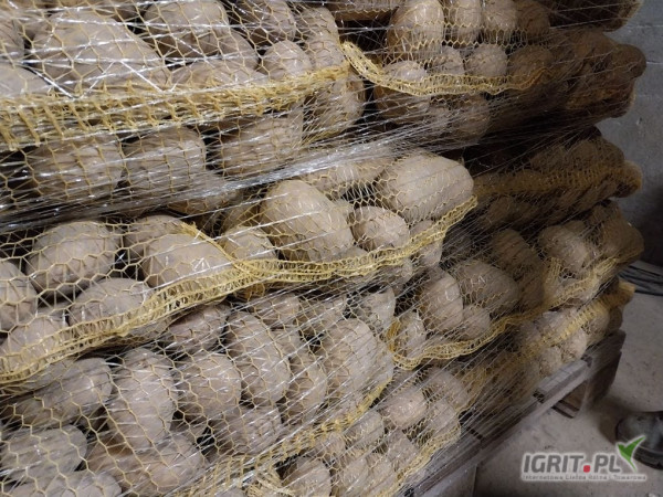 Sprzedam tirowe ilości ziemniaków Ignacy 50+ worek 15kg.