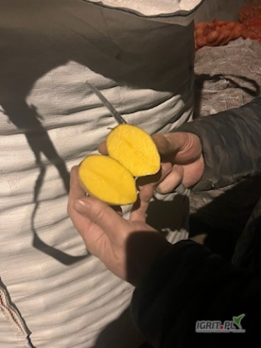 Na sprzedaż kilka rodzajów ziemniaków 