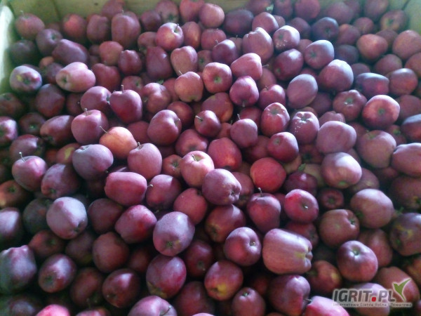 Sprzedam Red Capa z Ka za wagę 