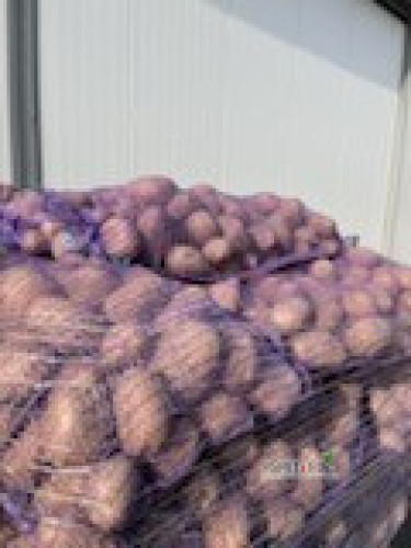 Sprzedam ziemniaki jadalne soraja kalib 5.5 + tir