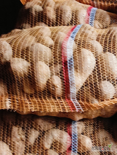 Sprzedam ziemniaki paszowe ok 3 tony w workach 15 zapraszam 