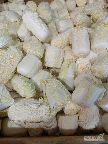 Sprzedam Kapustę Pekińską na kebaby sałatki 