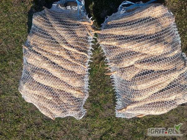 Sprzedam pietruszkę układana po 5kg świeżo kopana na zamówienie 