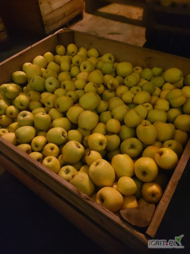 Sprzedam Mutsu 2 klasy .60 skrzyń.