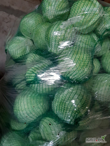Sprzedam kapustę białą worek 20 kg 