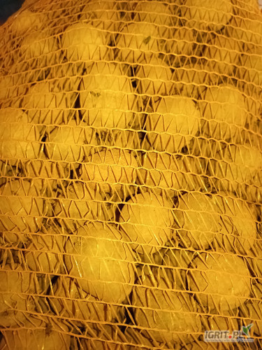 Gala i Belmonda kaliber sadzeniak w workach po 25 kg cena do uzgodnienia łacznie ok 3t 