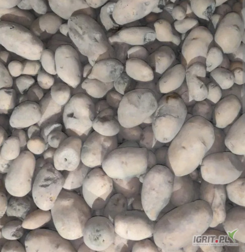 Sprzedam ziemniaki odpadowe tanio 0.30zl/kg