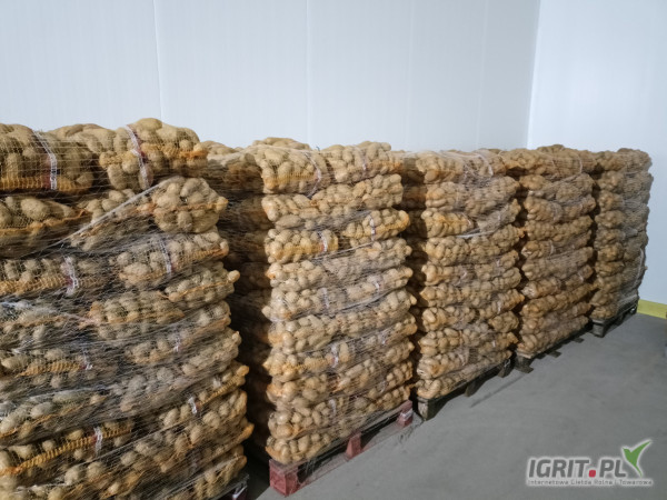 Sprzedam ostatnie 10ton ziemniaków. Odmiany Ignacy i Queen Anna. Towar z chłodni.