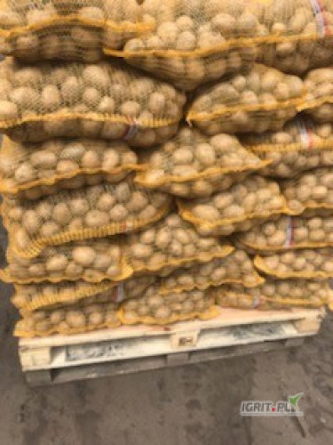 Sprzedam ziemniaka odmiana Gala ilości tirowe worek 15 kg.Zainteresowanych proszę o kontakt 504-187-912  509-624-608