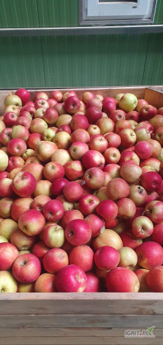 Sprzedam Idared KA+fresz  komora otwarta 