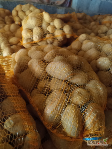 Witam.Sprzedam ziemniaki paszowe twarde bez kiełka.Mam możliwość transportu.Więcej info na tel.602315986 