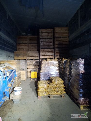 Sprzedam 70 worków żółtego. Twardy bez kiełka. Kaliber 5+, mogę dowieźć zrobić na palecie.