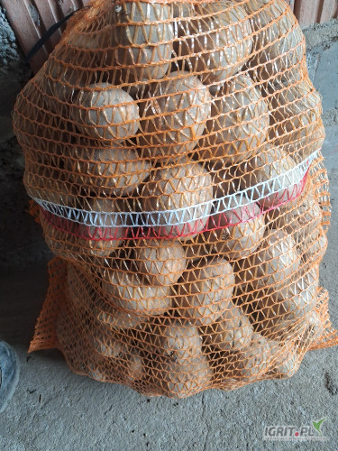Sprzedam ziemniaki Lilly 4.3+ worek 15 lub big bag