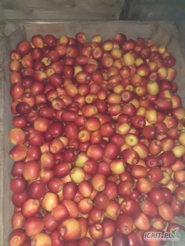 Sprzedam drobne czerwone jablko .20 ton .