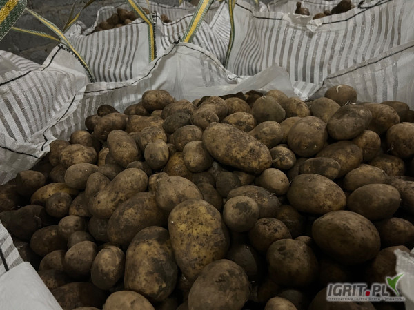 Sprzedam ziemniaki jadalne żółte  w bigbagu worku lub luzem 