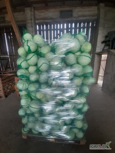 Sprzedam kapustę białą 1-4 kg 