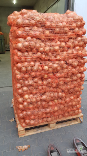 Witam sprzedam cebule w worku kaliber 7-9 
