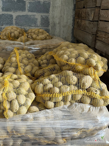 Sprzedam jadalnego ziemniaka Soraya.