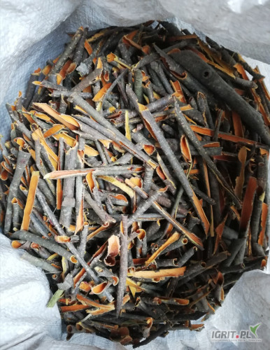 Kora kruszyny, zbiór 2024/25, ilości tonowe, kraj pochodzenia Polska. 