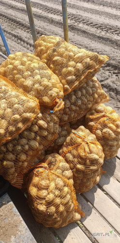 Sprzedam młode ziemniaki Columba i Riviera pakowane w worek 15 kg