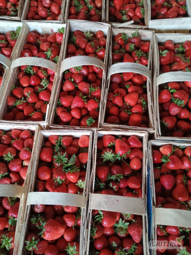 Sprzedam verdi 153 kosze cena 22 zł