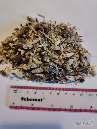 Jeżowka Purpurowa korzeń ok 5 ton z badaniami bez pozostałości pestycydów 