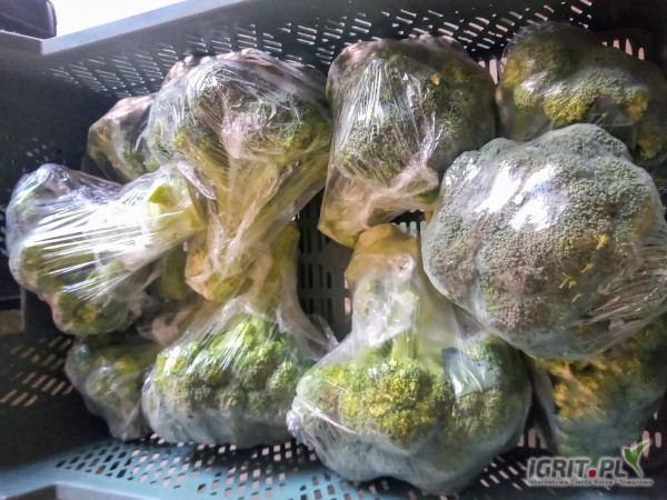 Nawiąże stałą współpracę z odbiorcami brokuła foliowanego. Posiadam certyfikat Globał G.A.P.. Towar dostępny od 15 lipca do końca...