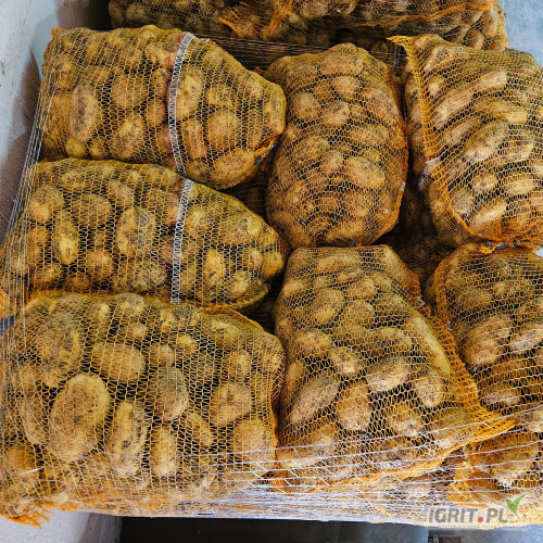 Sprzedam ziemniaka Ignacy. Worek 15 kg. 