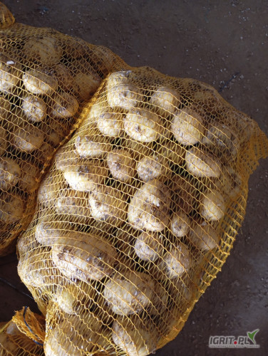 Sprzedam ziemniaki kopane pod zamówienie odmiany Riviera Colomba i Corina możliwość wystawienia faktury Vat więcej informacji pod...