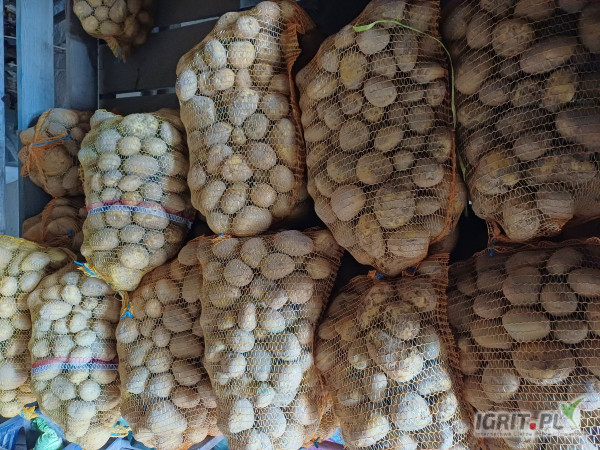 Ziemniaki jadalne riwiera 35mm+